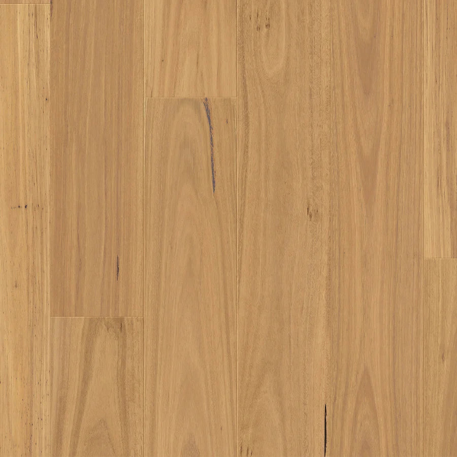 Premium Floors Clix XL Laminate Flooring 9.5mm - Natural Blackbutt swatch