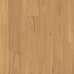 Natural Blackbutt flooring colour