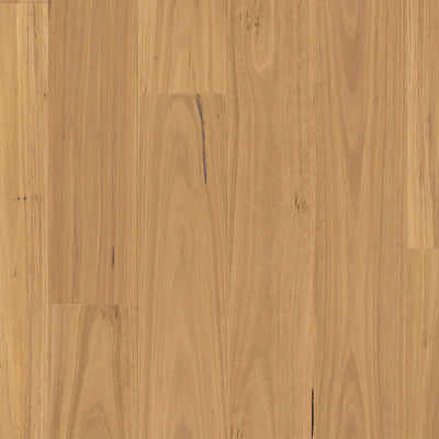 Premium Floors Clix XL Laminate Flooring 9.5mm - Natural Blackbutt swatch