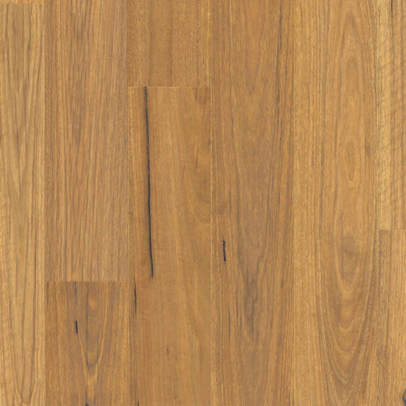 Premium Floors Clix XL Laminate Flooring 9.5mm - Natural Spotted Gum swatch