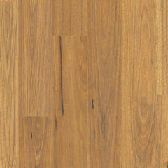 Natural Spotted Gum flooring colour