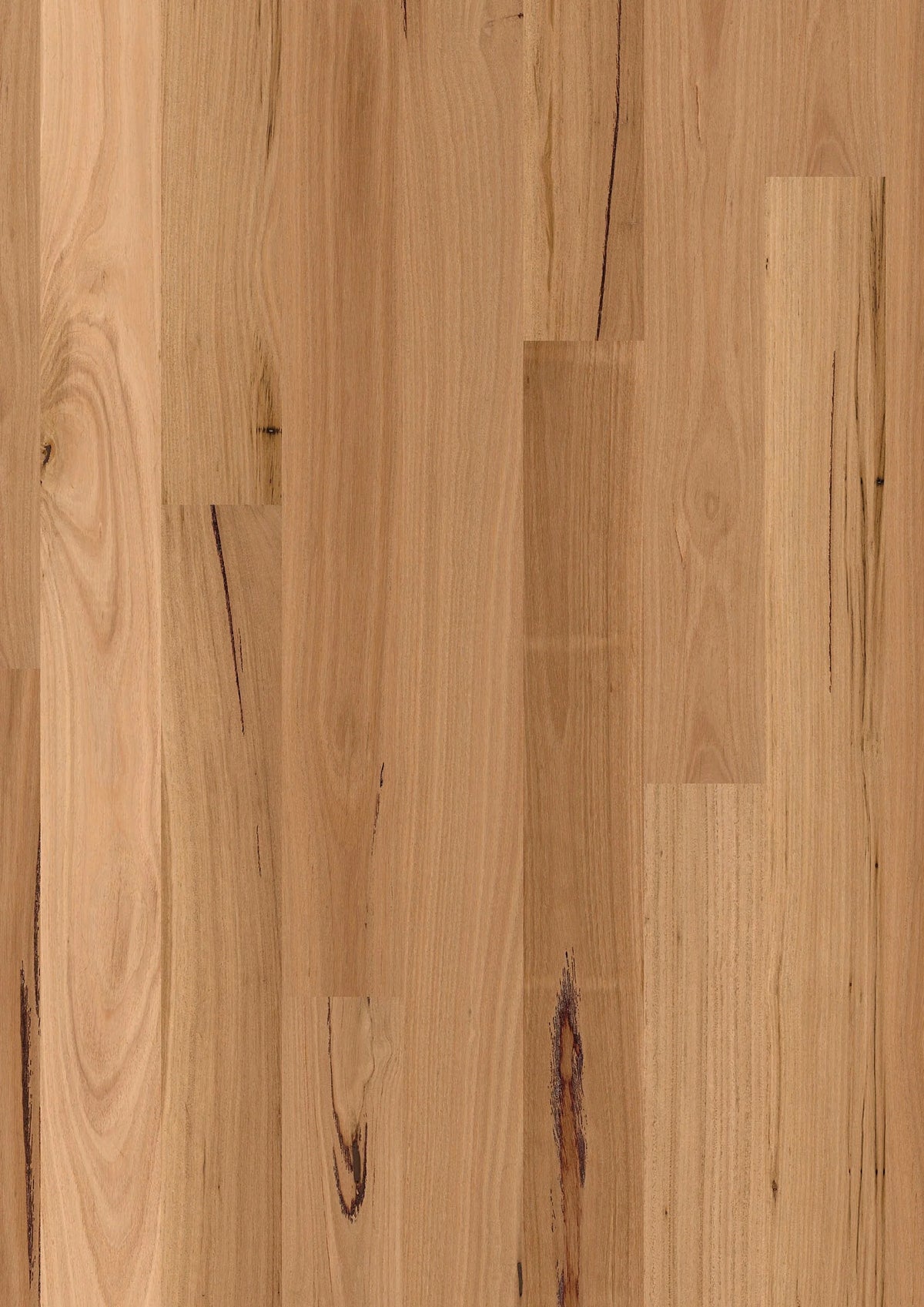 Premium Floors Sidura 1-Strip Australian Native Engineered Timber Flooring 13–14mm Blackbutt Gloss Swatch