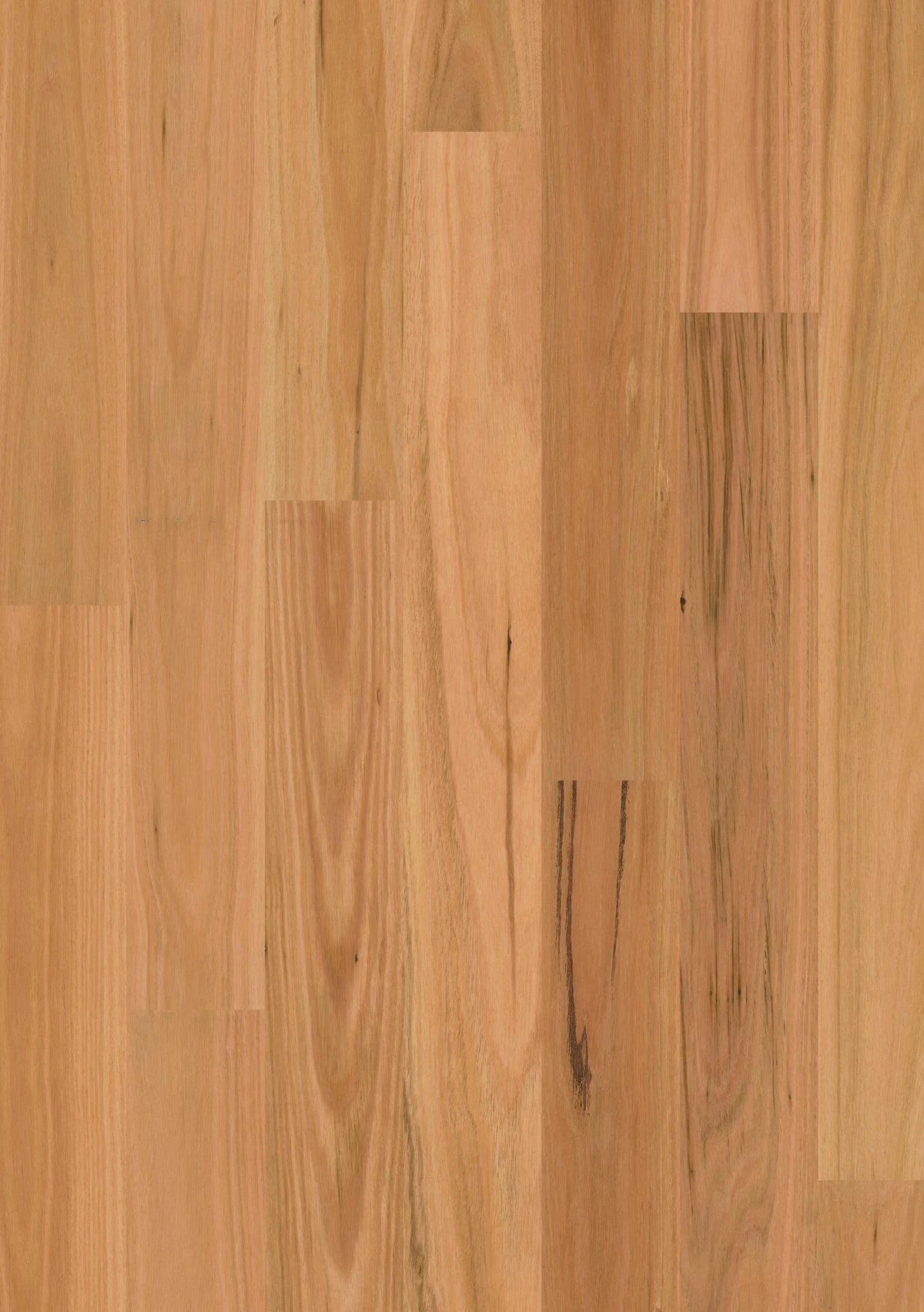 Premium Floors Sidura 1-Strip Australian Native Engineered Timber Flooring 13–14mm Blackbutt Matt Swatch