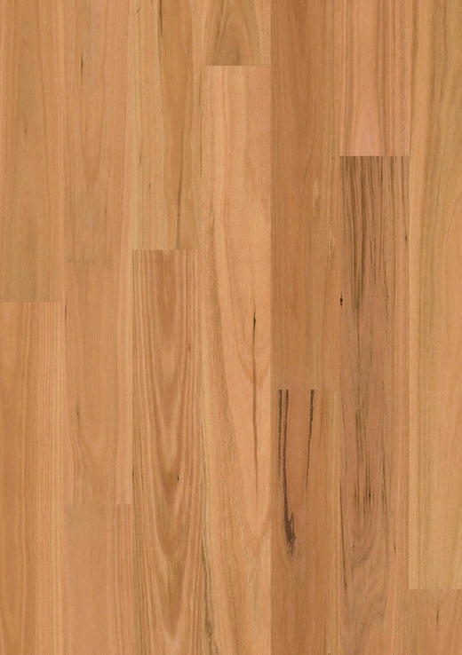 Premium Floors Sidura 1-Strip Australian Native Engineered Timber Flooring 13–14mm Blackbutt Matt Swatch