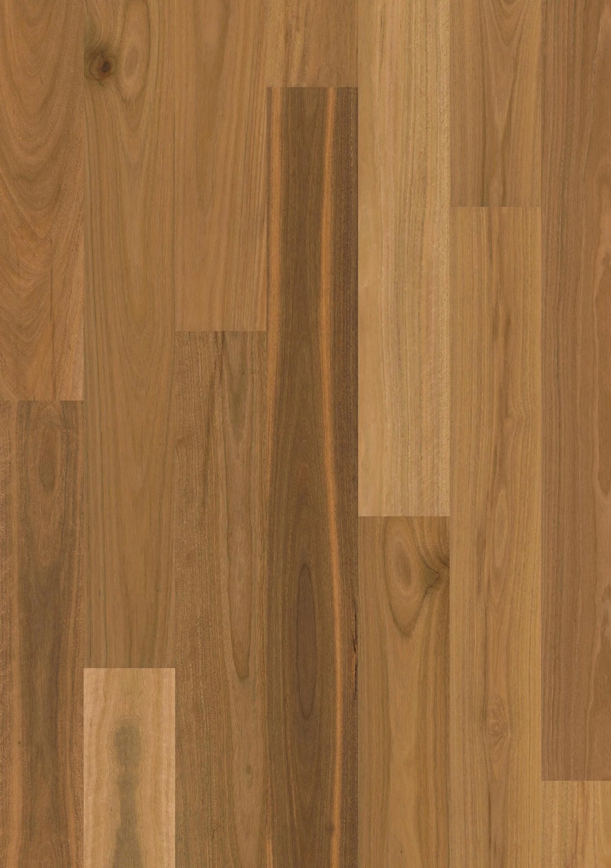 Premium Floors Sidura 1-Strip Australian Native Engineered Timber Flooring 13–14mm Spotted Gum Matt Swatch