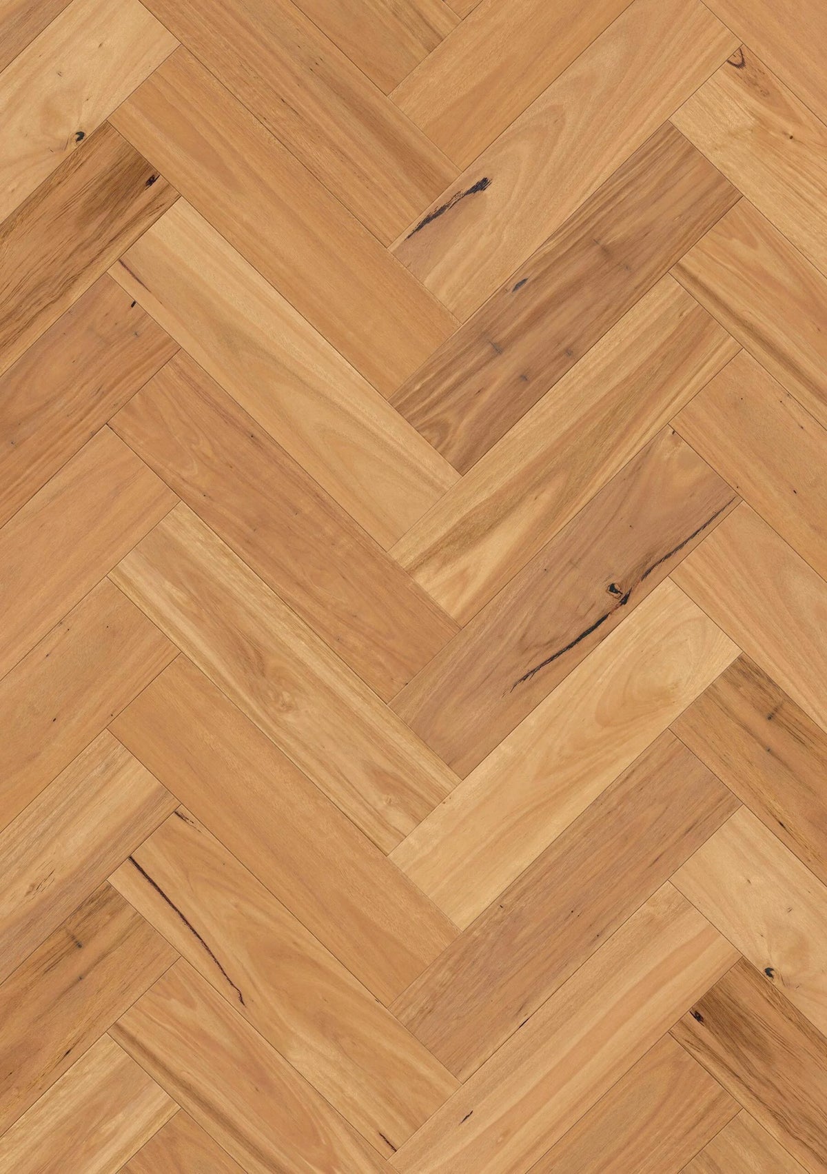 Premium Floors Sidura Herringbone Grande Australian Native Engineered Timber Flooring 13/3mm Blackbutt Matt Setting