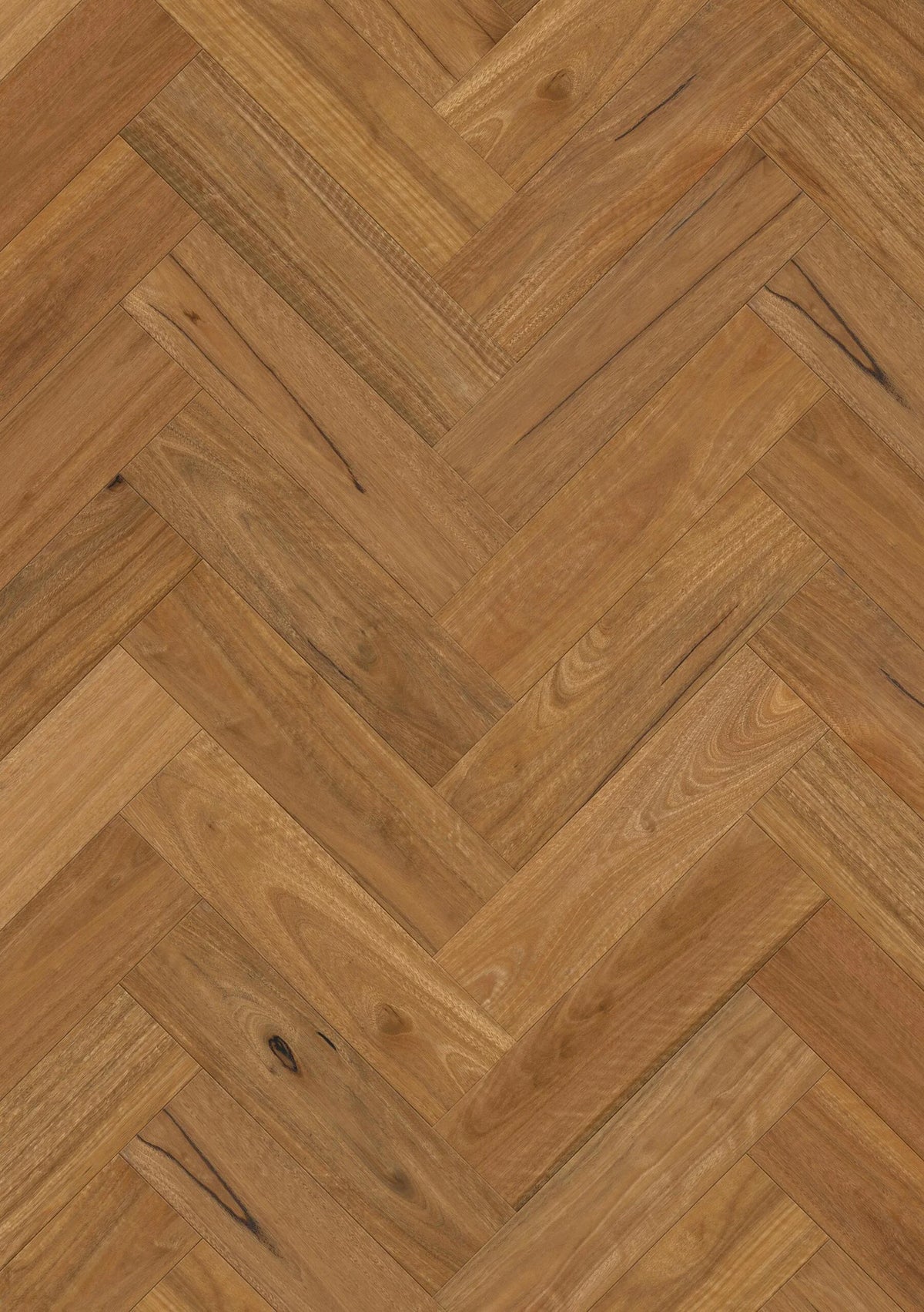 Premium Floors Sidura Herringbone Grande Australian Native Engineered Timber Flooring 13/3mm Spotted Gum Matt Swatch