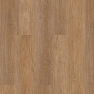Premium Floors Titan Home Hybrid Flooring 5mm Tidal Blackbutt Swatch