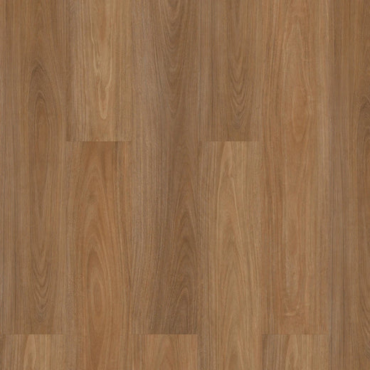 Premium Floors Titan Home Hybrid Flooring 5mm Warm Blackbutt Swatch