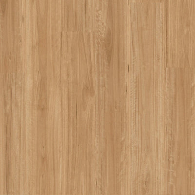 Premium Floors Titan Hybrid Flooring 6mm Bleached Blackbutt Swatch