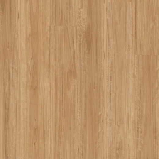 Premium Floors Titan Hybrid Flooring 6mm Bleached Blackbutt Swatch