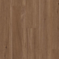 Spotted Gum flooring colour