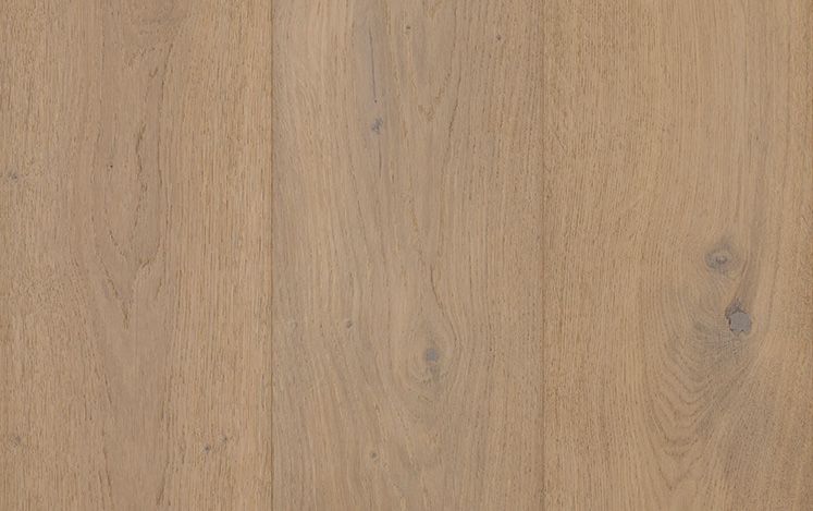 Australian Select Timbers GrandOak Noble 14.5/3mm Prescott Oak European Oak Engineered Timber Swatch