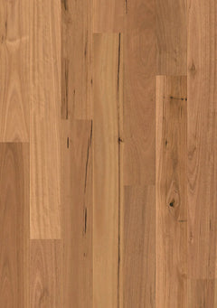 Blackbutt flooring colour