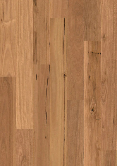 Quick-Step Amato Engineered Timber Flooring 13/2.5mm Blackbutt Swatch