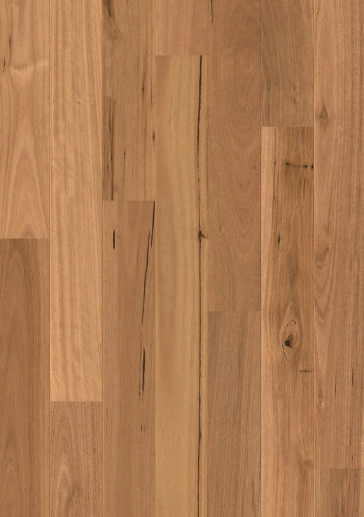Quick-Step Amato Engineered Timber Flooring 13/2.5mm Blackbutt Swatch