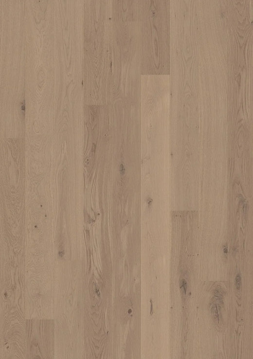Quick-Step Amato Engineered Timber Flooring 13/2.5mm Cliff Grey Oak Swatch