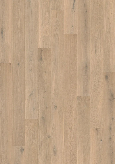 Quick-Step Amato Engineered Timber Flooring 13/2.5mm Creamy White Oak Swatch