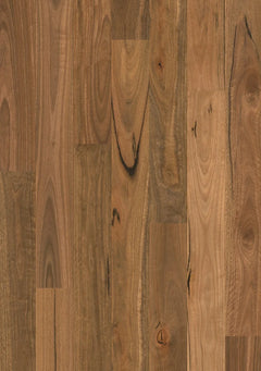 Spotted Gum flooring colour