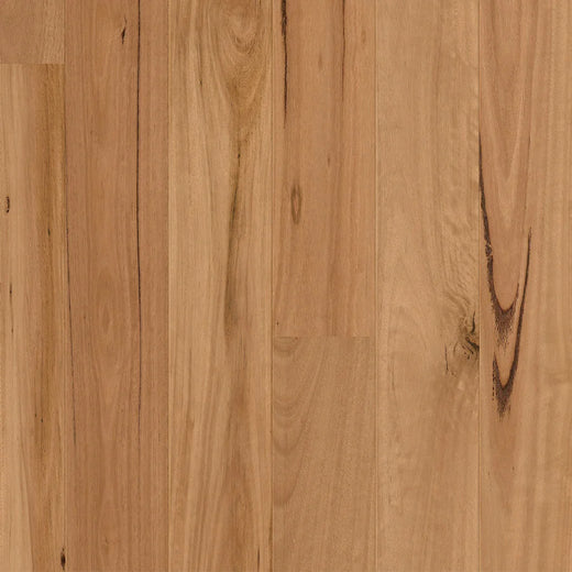 Quick-Step Cascada Engineered Timber Flooring 13/2.5mm Blackbutt Swatch