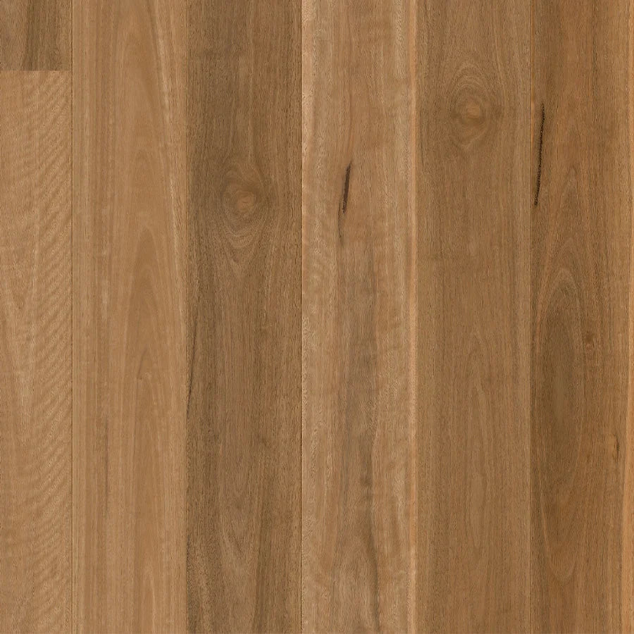 Quick-Step Cascada Engineered Timber Flooring 13/2.5mm Spotted Gum Swatch