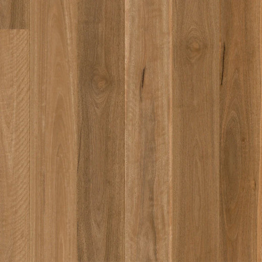 Quick-Step Cascada Engineered Timber Flooring 13/2.5mm Spotted Gum Swatch