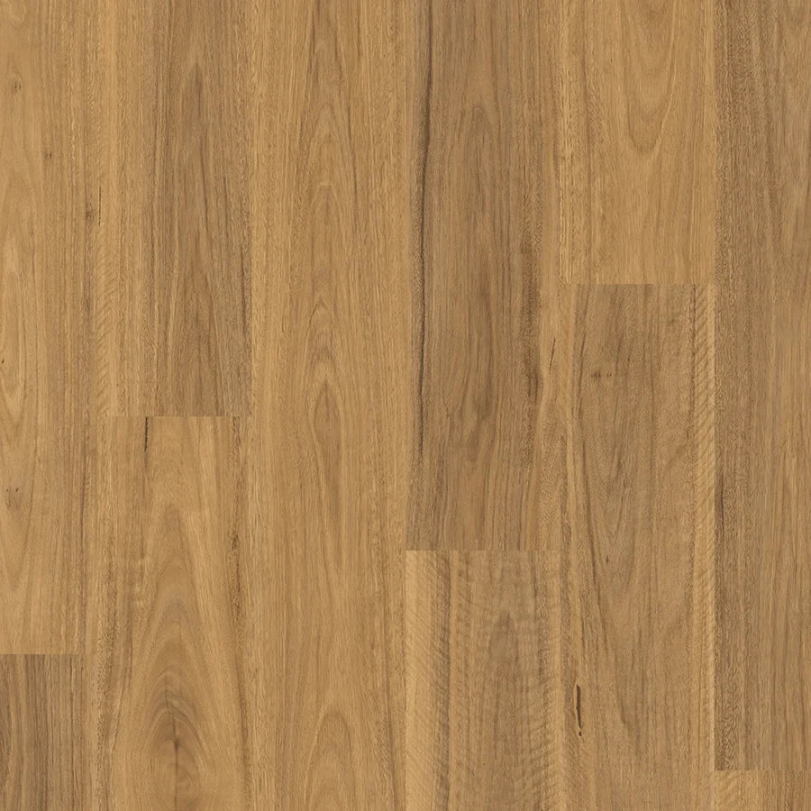 Quick-Step Classic Laminate Flooring 8mm Spotted Gum Swatch