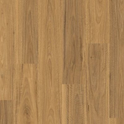 Quick-Step Classic Laminate Flooring 8mm Spotted Gum Swatch