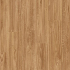 Blackbutt flooring colour