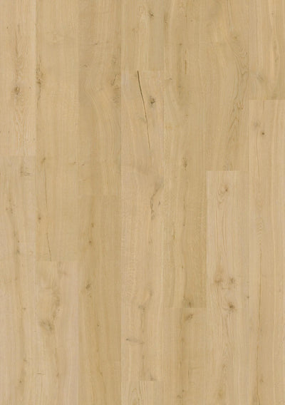 Quick-Step Impressive Laminate Flooring 8mm Cotton Oak Swatch