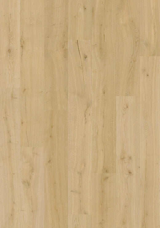Quick-Step Impressive Laminate Flooring 8mm Cotton Oak Swatch