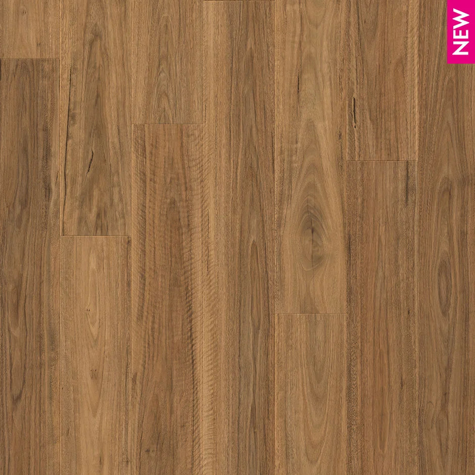 Quick-Step Impressive Laminate Flooring 8mm Spotted Gum Swatch