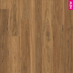 Spotted Gum flooring colour