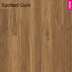 Spotted Gum flooring colour