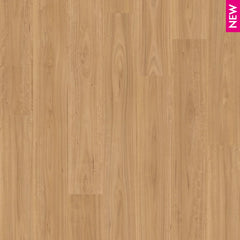 Blackbutt flooring colour