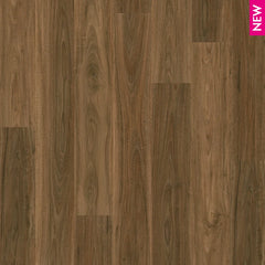 Spotted Gum flooring colour