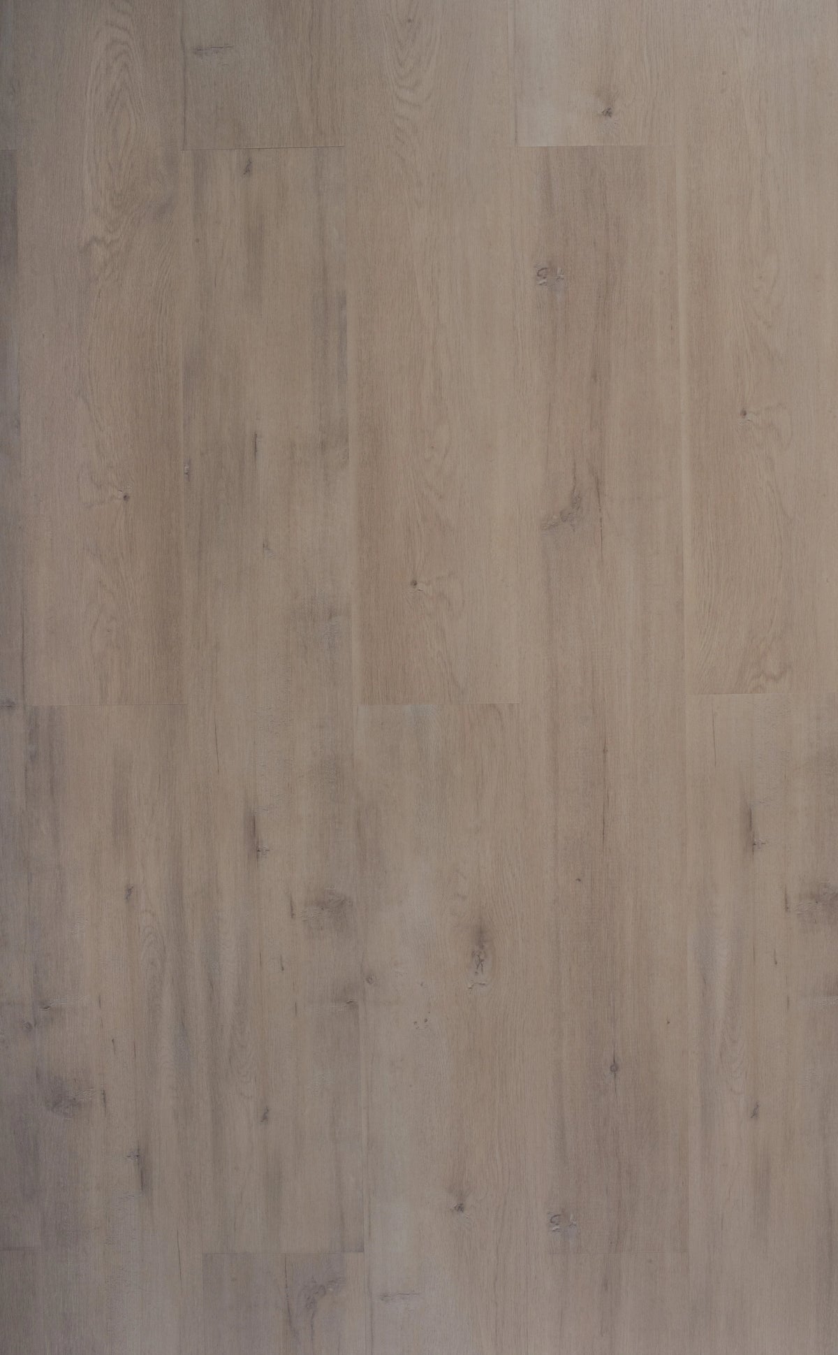 Riverhill Elegant Hybrid Flooring 6.5mm Ivory Beige Swatch