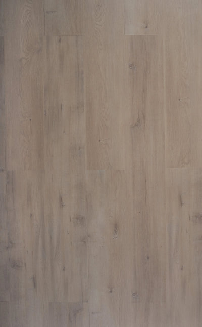Ivory Beige