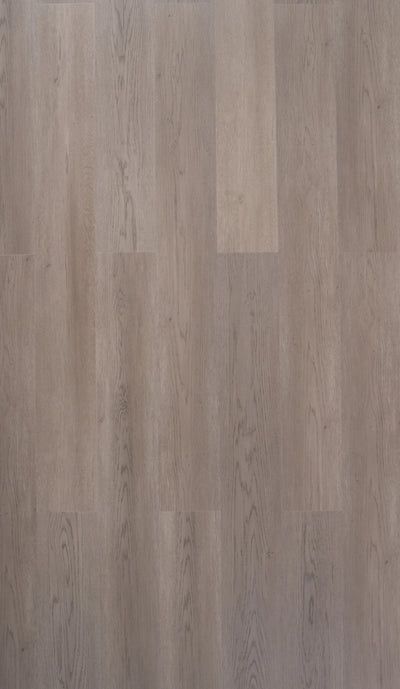 Koala Grey