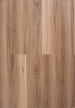 QLD Spotted Gum flooring colour