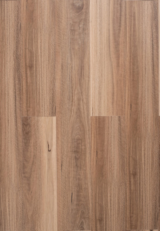Riverhill Elegant Hybrid Flooring 6.5mm QLD Spotted Gum Swatch