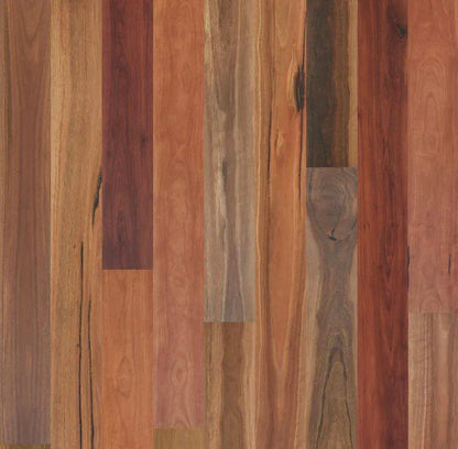The Flooring Lab Eucalypt Australian Native Engineered Timber Flooring 14.2mm - Spotted Gum Rustic swatch