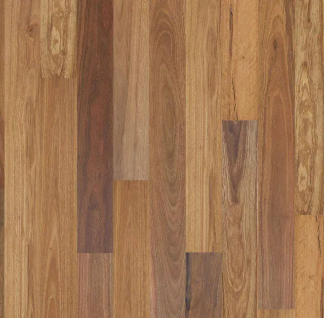 The Flooring Lab Eucalypt Australian Native Engineered Timber Flooring 14.2mm - Spotted Gum swatch
