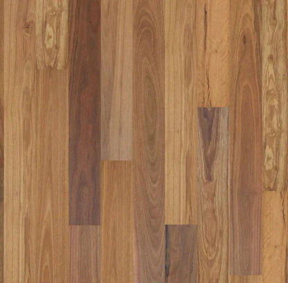 The Flooring Lab Eucalypt Australian Native Engineered Timber Flooring 14.2mm - Spotted Gum swatch