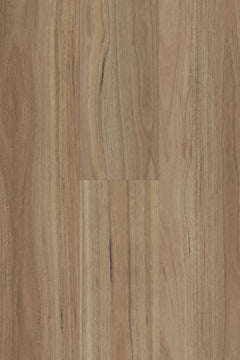 Blackbutt flooring colour