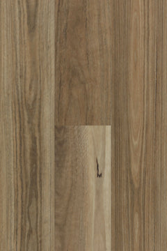 Spotted Gum flooring colour