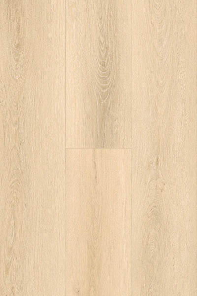 Topdeck Pantora Amor AC5 Laminate Flooring 12mm Catalina Oak Swatch