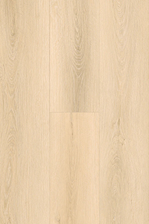 Topdeck Pantora Amor AC5 Laminate Flooring 12mm Catalina Oak Swatch