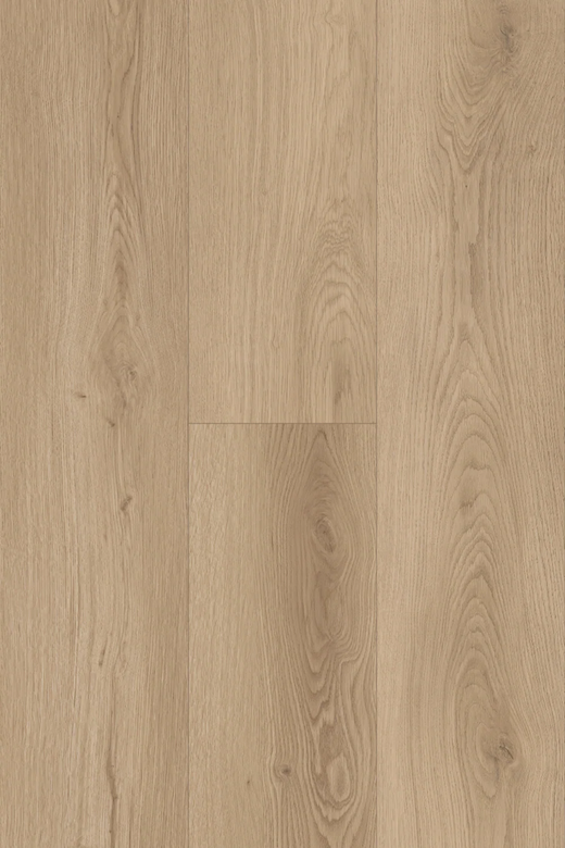 Topdeck Pantora Amor AC5 Laminate Flooring 12mm Coastal Breeze Swatch