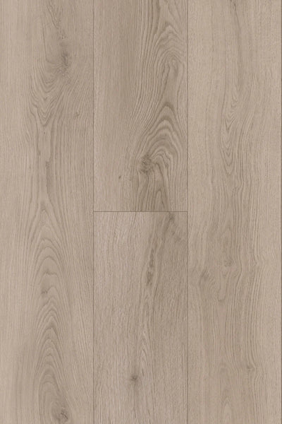 Topdeck Pantora Amor AC5 Laminate Flooring 12mm Silverstone Oak Swatch